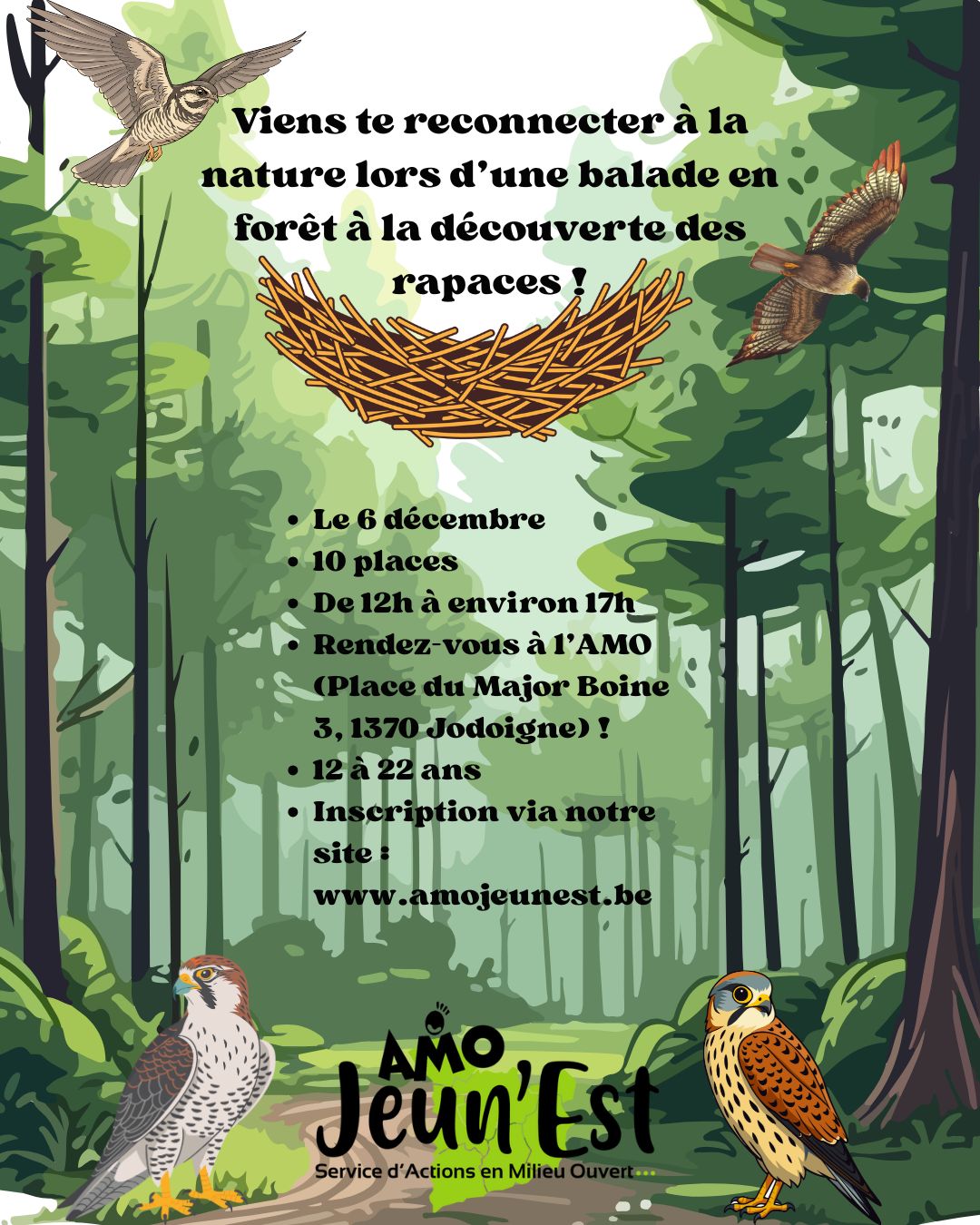 Balade avec les rapaces